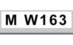 M W163 (3)