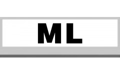 ML (7)