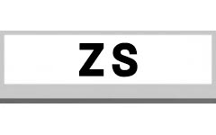 ZS (1)