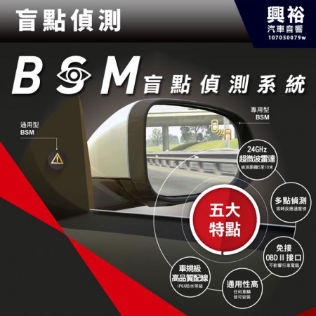 【盲點偵測】BSM盲點偵測輔助系統-微波雷達偵測＊專用款另計 公司貨