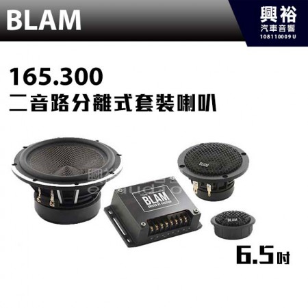 【BLAM】LIVE 165.300 三音路分離式套裝喇叭
