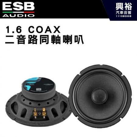 【ESB】1.6 COAX 二音路同軸喇叭