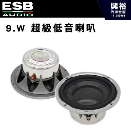 【ESB】9.W 超級低音喇叭 6.5吋