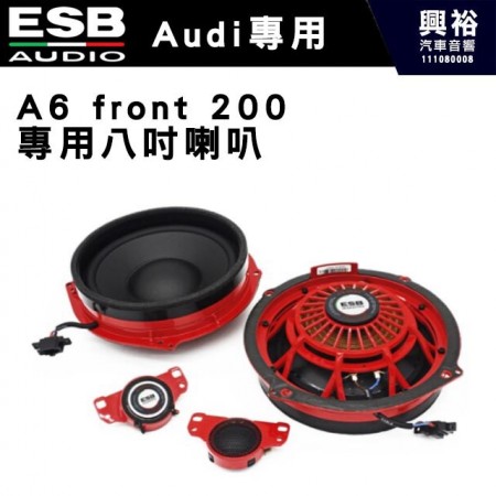【ESB】Audi  A6 front 200  專用八吋喇叭