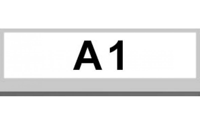 A1