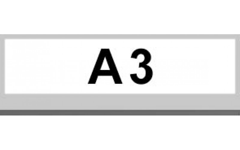 A3