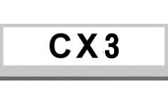CX3 (1)