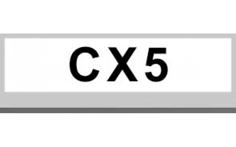 CX5