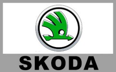 SKODA 斯可達 (14)
