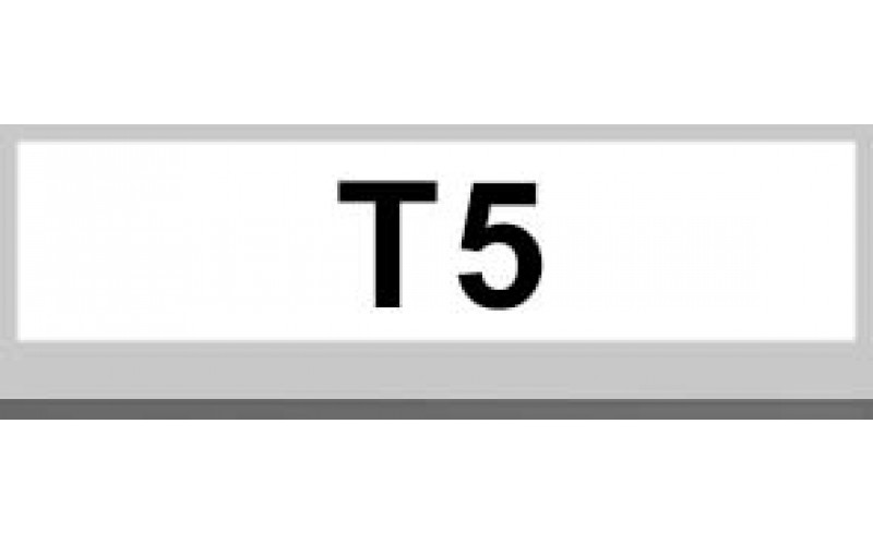 T5