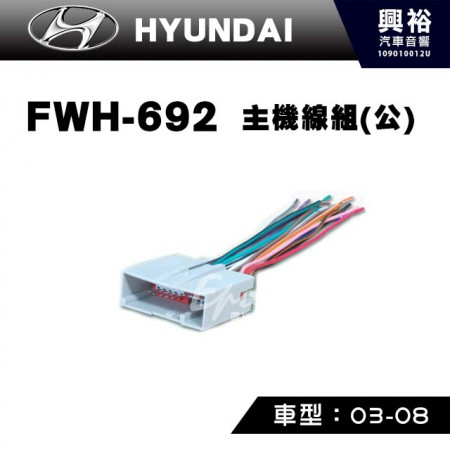【HYUNDAI】2003-2010年主機線組(公) FWH-692